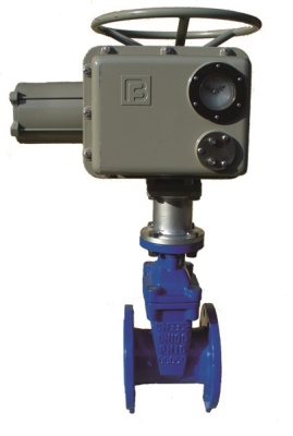 Задвижка с обрезиненным клином фланцевая ABRA с электроприводом Regada В Ханты-Мансийске